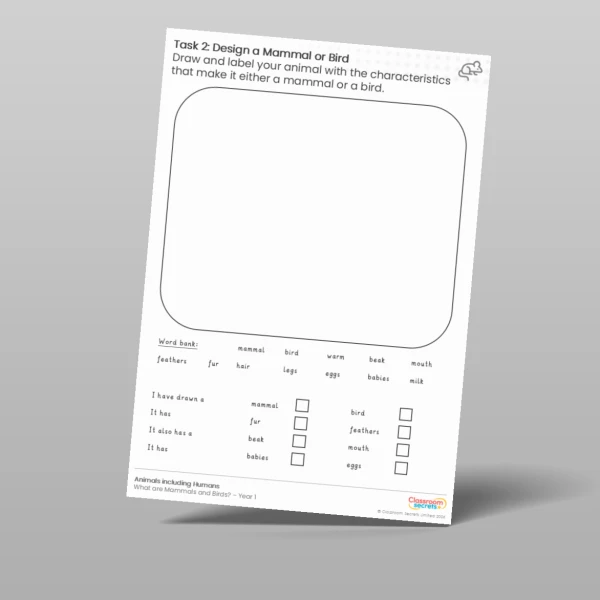 An image of the Lesson 2: Draw a Mammal or Bird Worksheet Resource