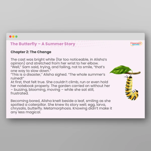 An image of the The Butterfly - A Summer Story Resource