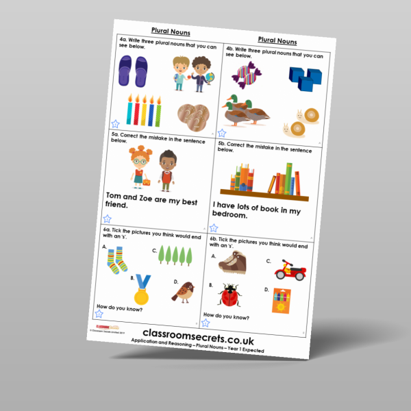 Plural Nouns Application and Reasoning Resource Classroom Secrets