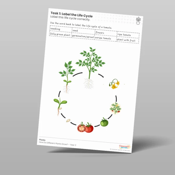 An image of the Lesson 5: Label the Life Cycle Activity Resource