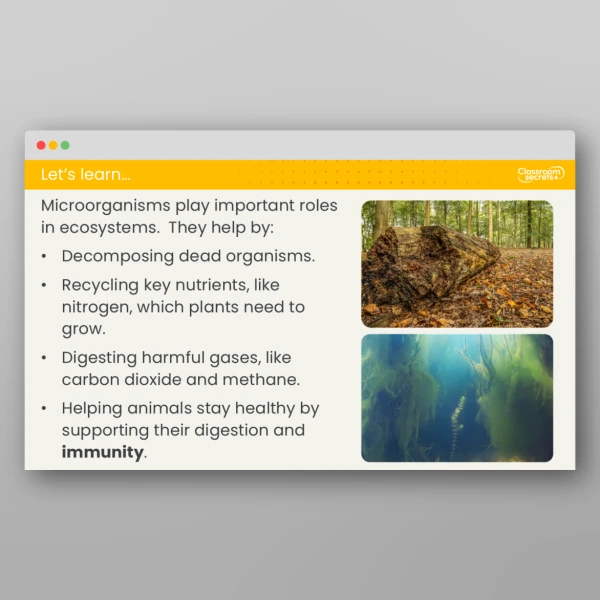 An image of the Lesson 4: What are Microorganisms? Investigation Resource