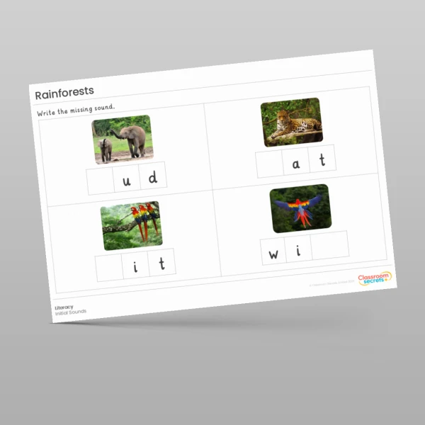 An image of the Amazing World - Rainforests Literacy Activities Resource