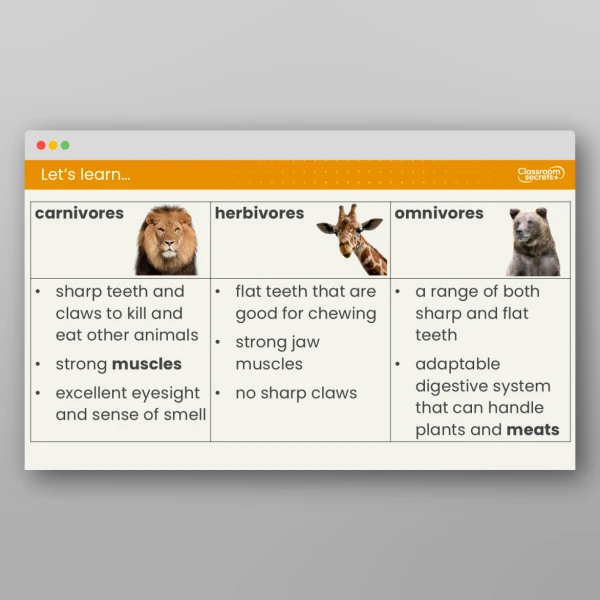 An image of the Lesson 2: What Do Animals Eat? Resource