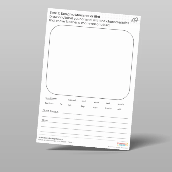 An image of the Lesson 2: Draw a Mammal or Bird Worksheet Resource
