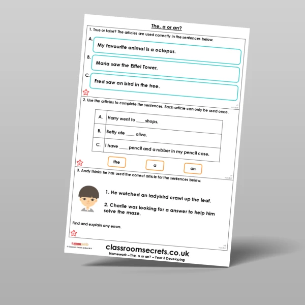 An image of the The, a or an? Homework Resource