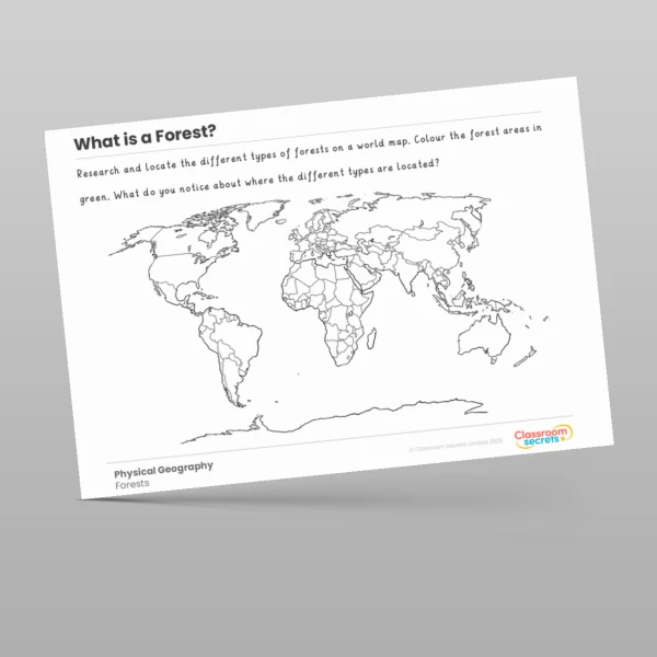 An image of the What is a Forest? Geography Worksheet Resource