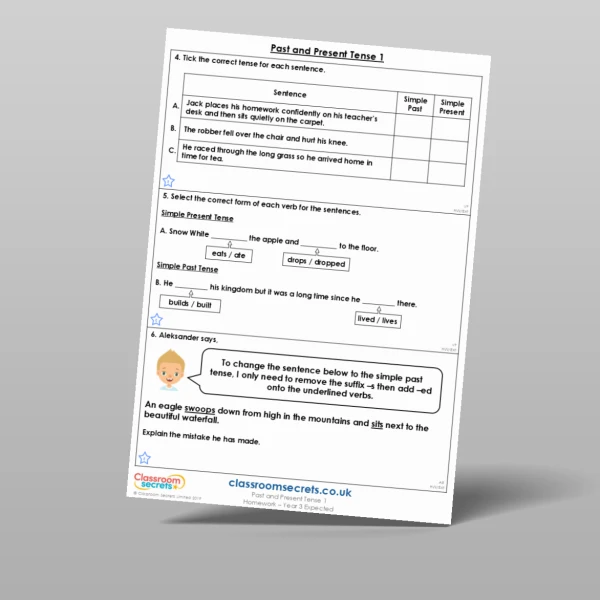 An image of the Past and Present Tense 1 Homework Resource