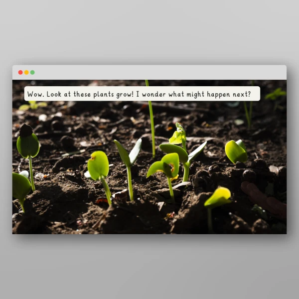 An image of the Plants Introductory PowerPoint Resource