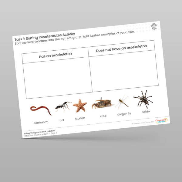 An image of the Lesson 3: Sorting Invertebrates Activity Worksheet Resource