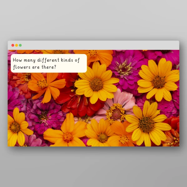 An image of the Plants I Wonder Discussion Prompts Resource