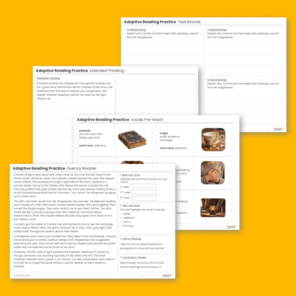 An image of the Adaptive Reading Practice Above the Looms (Working Towards Pack 4) Resource