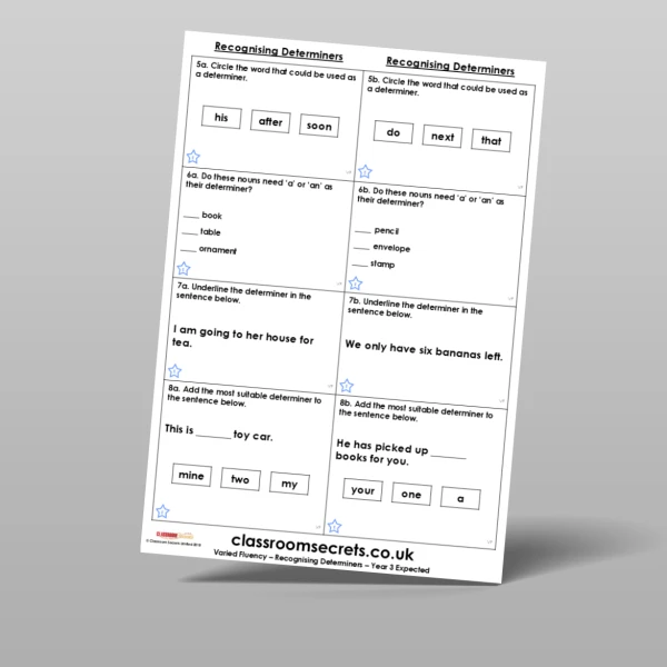 An image of the Recognising Determiners Varied Fluency Resource