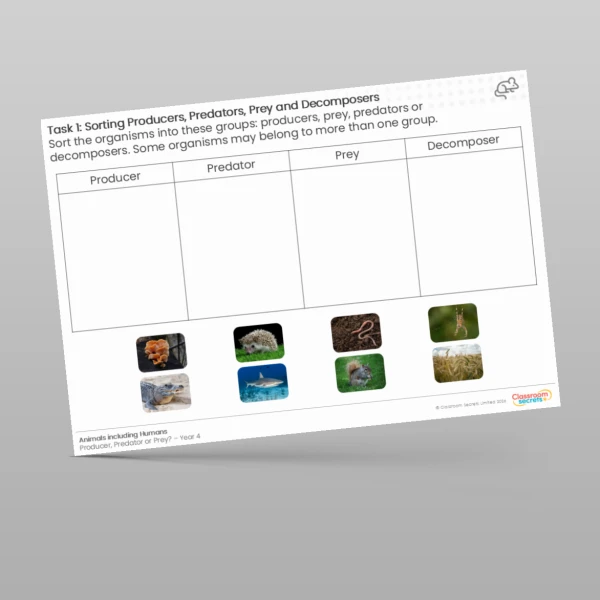 An image of the Producers, Predators, Prey or Decomposers Worksheet Resource
