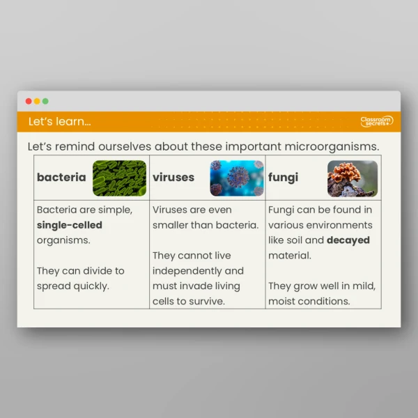 An image of the Lesson 5: How do We Group Microorganisms? Resource