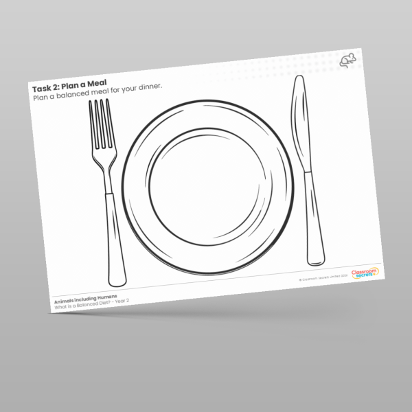 Year 2 Plan A Meal Worksheet Resource | Classroom Secrets