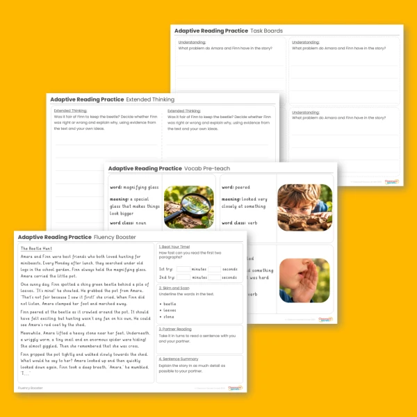 Year 2 Adaptive Reading Practice The Beetle Hunt (Working Towards Pack 4)