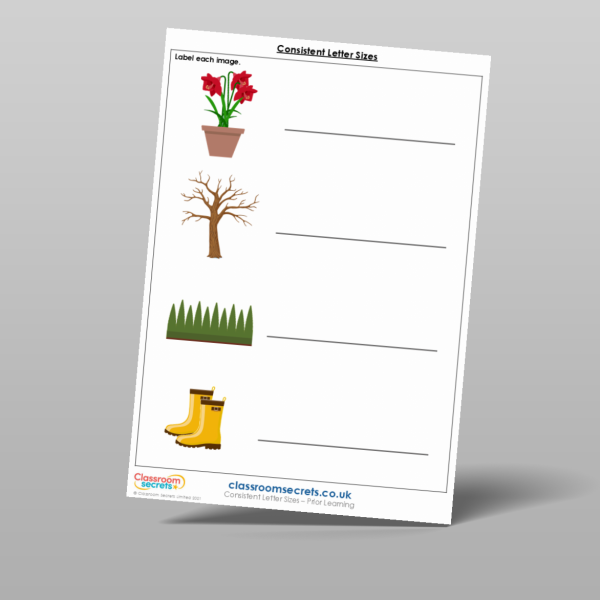 Year 1 Consistent Letter Sizes Prior Learning Resource | Classroom Secrets