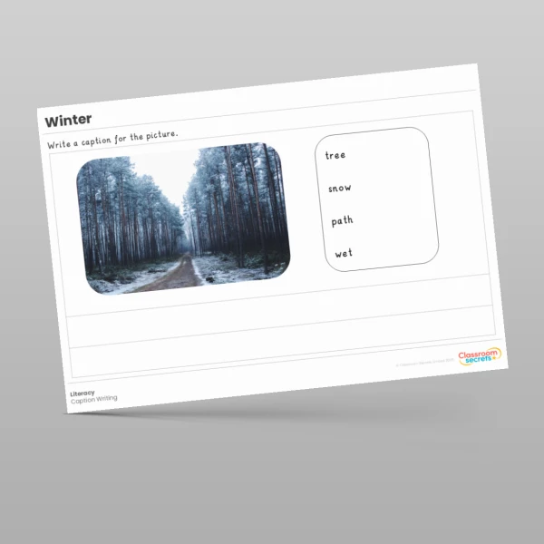 An image of the Winter Literacy Activities Resource