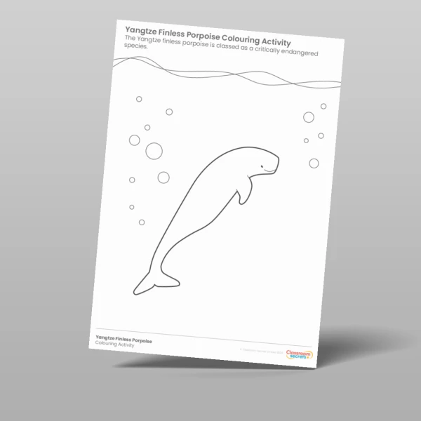 An image of the Yangtze Finless Porpoise Colouring Activity Resource
