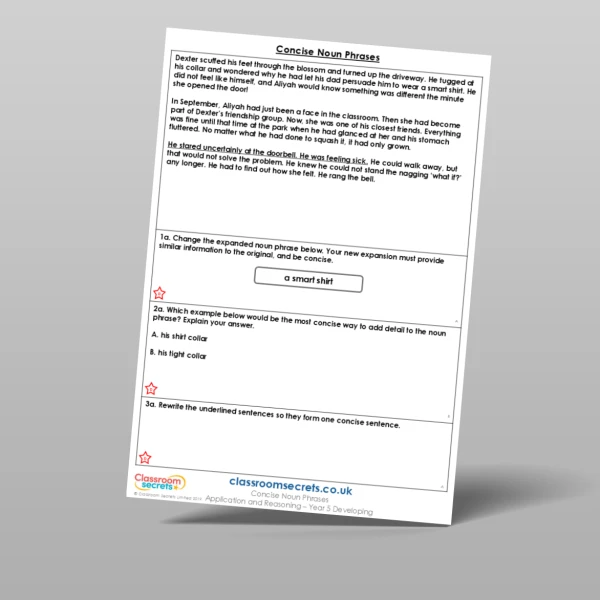 An image of the Concise Noun Phrases Application and Reasoning Resource