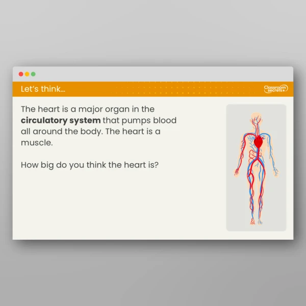 An image of the Lesson 2: How Does the Heart Work? Resource