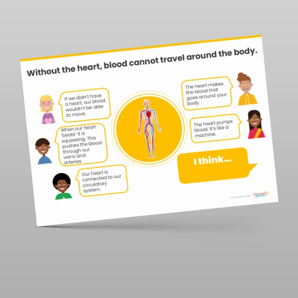 An image of the Animals including Humans Concept Cartoons Resource