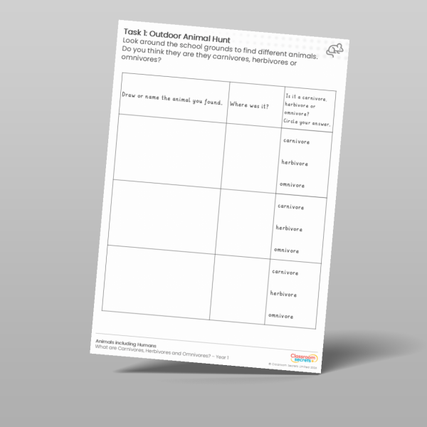 Year 1 Lesson 3 Outdoor Animal Hunt Worksheet Resource | Classroom Secrets
