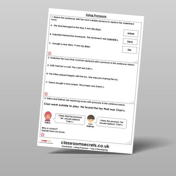 An image of the Using Pronouns Homework Resource