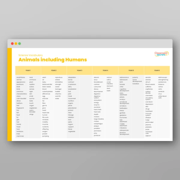 An image of the Vocabulary Progression Resource
