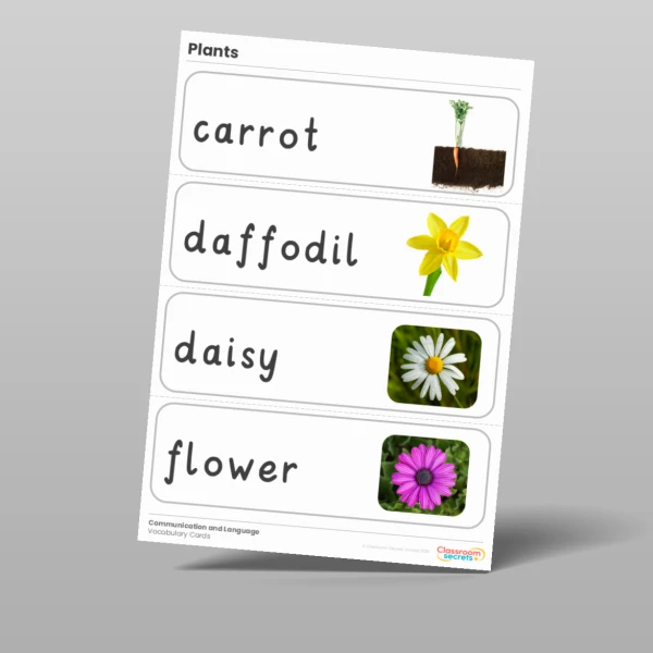 An image of the Plants Vocabulary Cards Resource