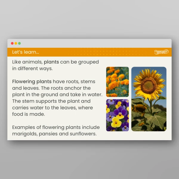 An image of the Lesson 5: How Can We Classify Plants? Resource