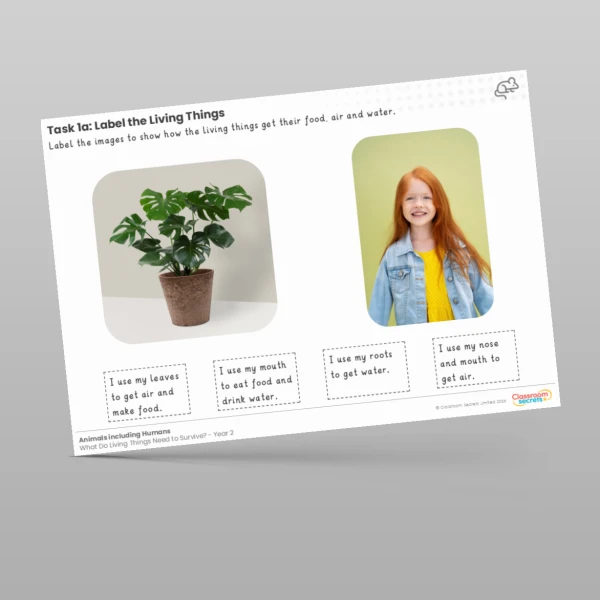 An image of the Lesson 3: Label the Living Things Worksheet Resource