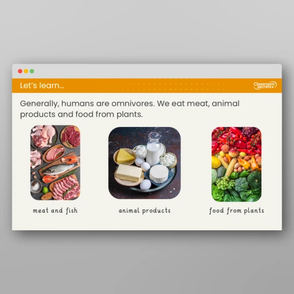 An image of the Lesson 3: What Are Carnivores, Herbivores and Omnivores? Resource