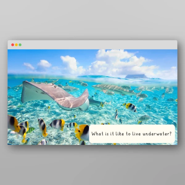 An image of the Amazing World - All At Sea I Wonder Discussion Prompts Resource