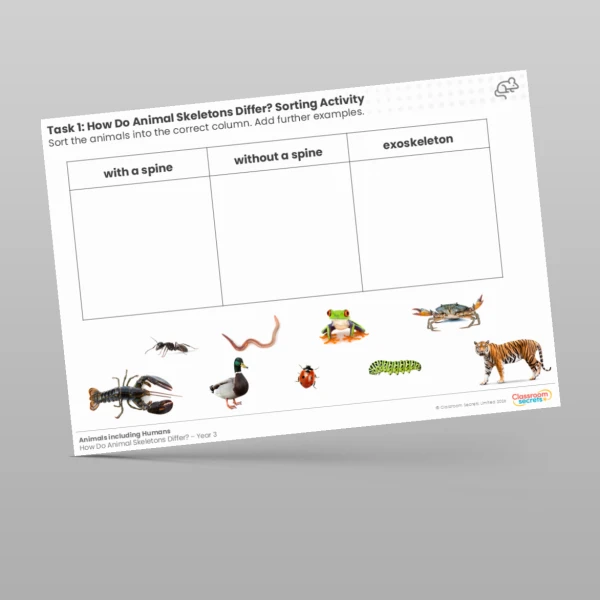 An image of the How Do Animal Skeletons Differ? Sorting Activity Resource