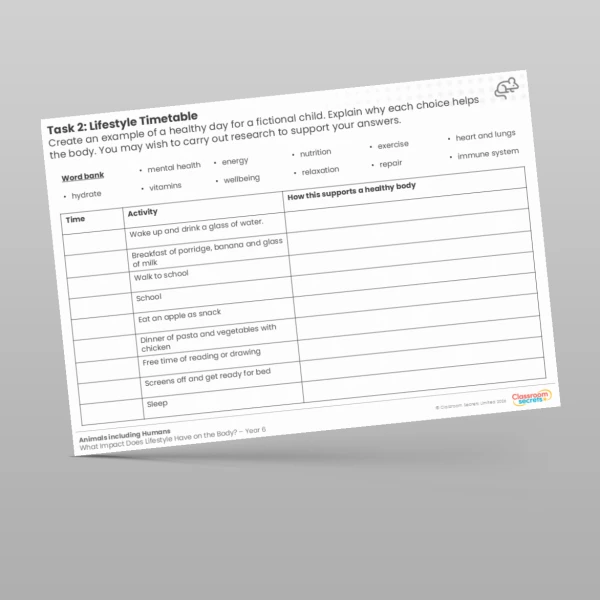 An image of the Lesson 4: Lifestyle Timetable Worksheet Resource