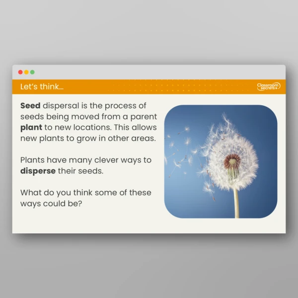 An image of the Lesson 4: What is Seed Dispersal? Resource