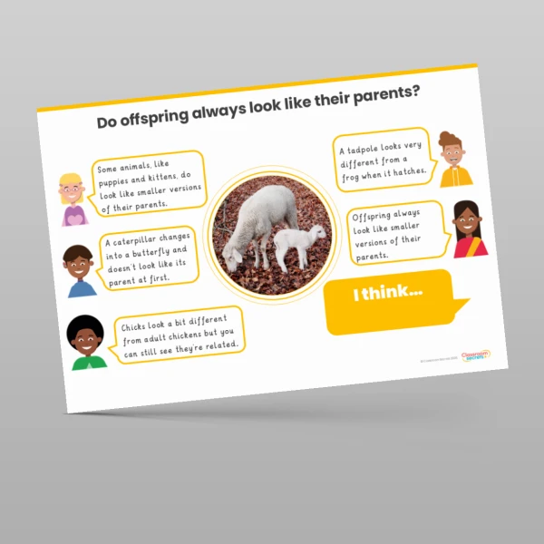 An image of the Animals Including Humans Concept Cartoons Resource