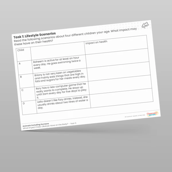 An image of the Lesson 4: Lifestyle Scenarios Worksheet Resource
