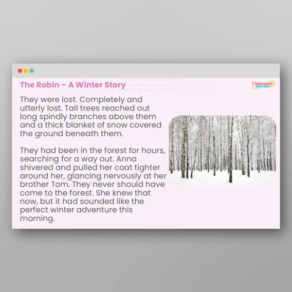 An image of the The Robin - A Winter Story Resource