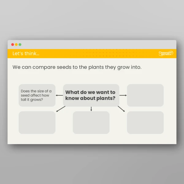 An image of the Lesson 2: What are Seeds? Investigation Resource