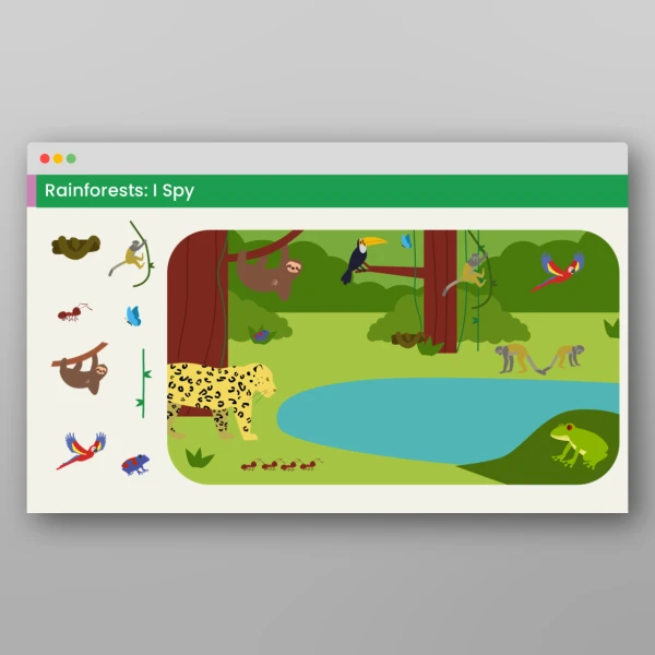 An image of the Amazing World - Rainforests Visual Discrimination Activities Resource