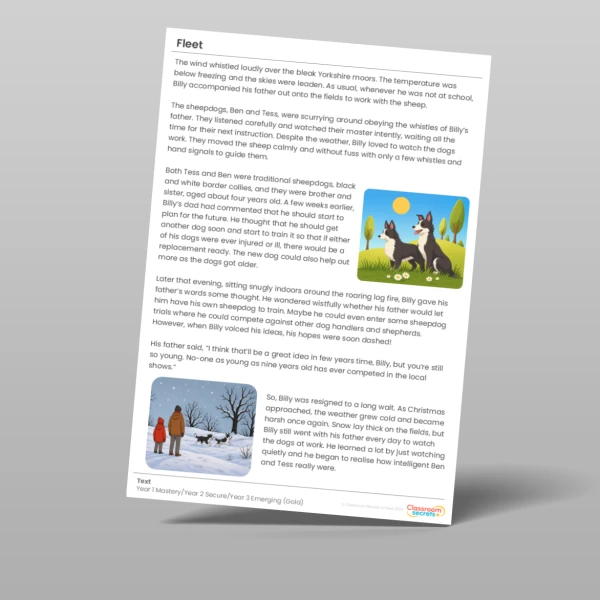 An image of the Fleet Gold Guided Reading Pack Resource