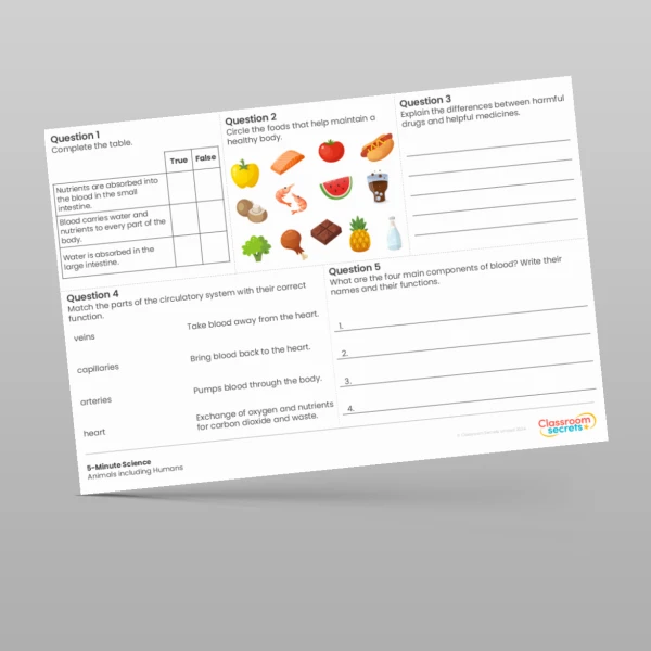An image of the Animals including Humans 5-Minute Science Resource