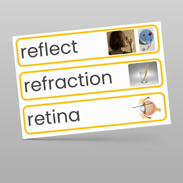An image of the Light Display Pack Resource