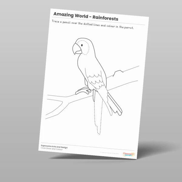 An image of the Amazing World - Rainforests I Can Draw and Colour Resource