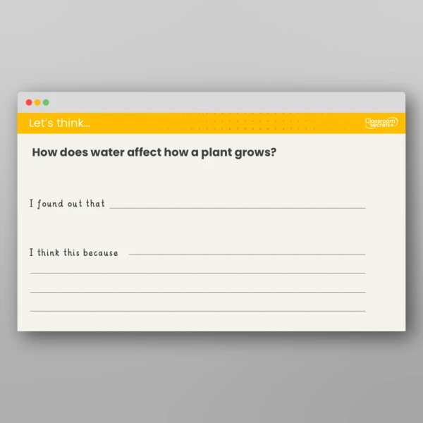 An image of the Lesson 4: What Do Plants Need to Grow? 2 Investigation Resource