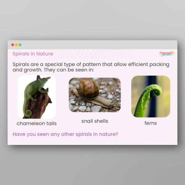 An image of the Amazing Maths in Nature PPT Resource