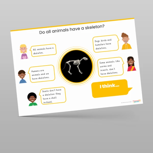 An image of the Animals including Humans Concept Cartoons Resource