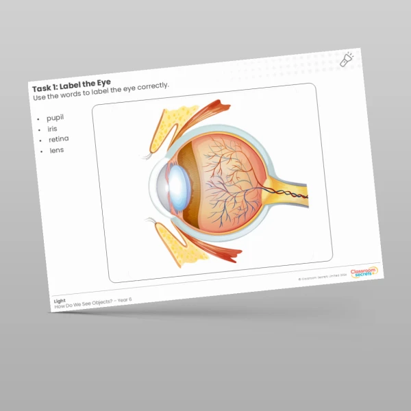 An image of the Draw and Label the Eye Worksheet Resource